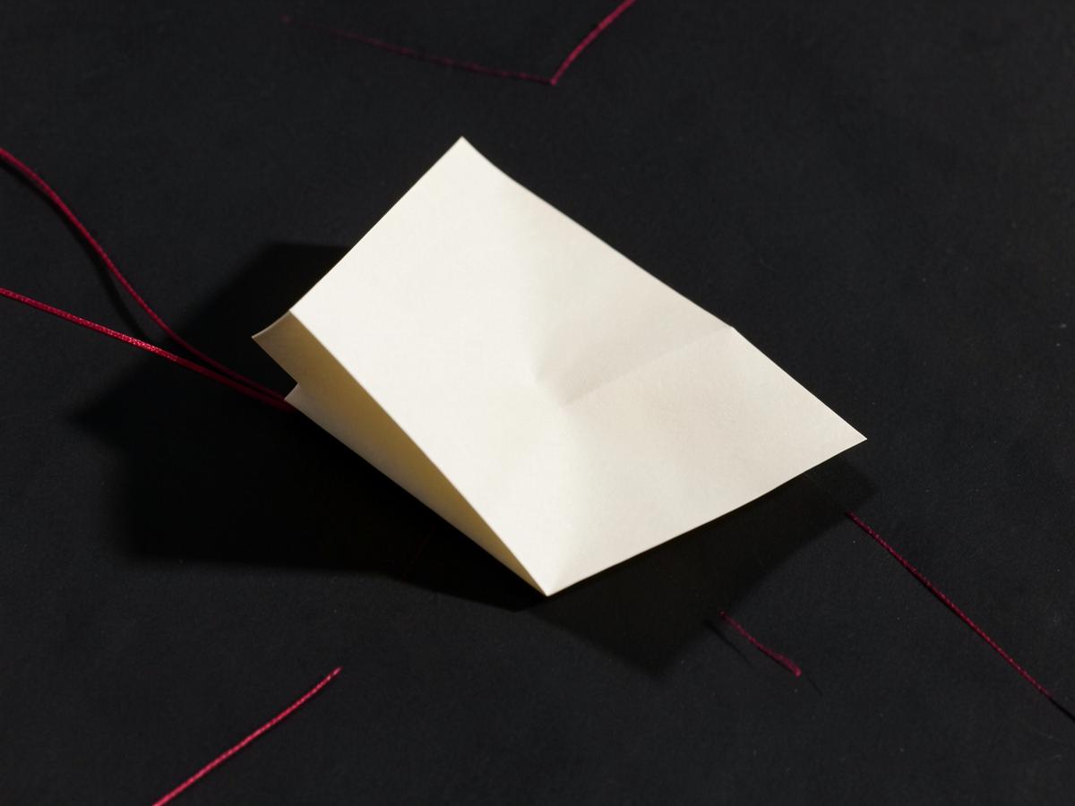 Folded off-white paper form casting a sharp shadow on a black background